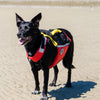 UnderDog Foam Flotation by Mustang Survival