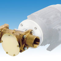 1 1/2" B200 Bronze Flexible Impeller Pump Head Kit To fit IEC 71 standard D100 frame motor - Jabsco 22880-2001