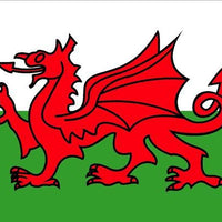Welsh Dragon Flag 30 x 45cm