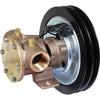 Jabsco 50080-2001 Bronze Clutch Pump (12V / 1" BSP / Twin A)  505240 - ChasNewensMarine