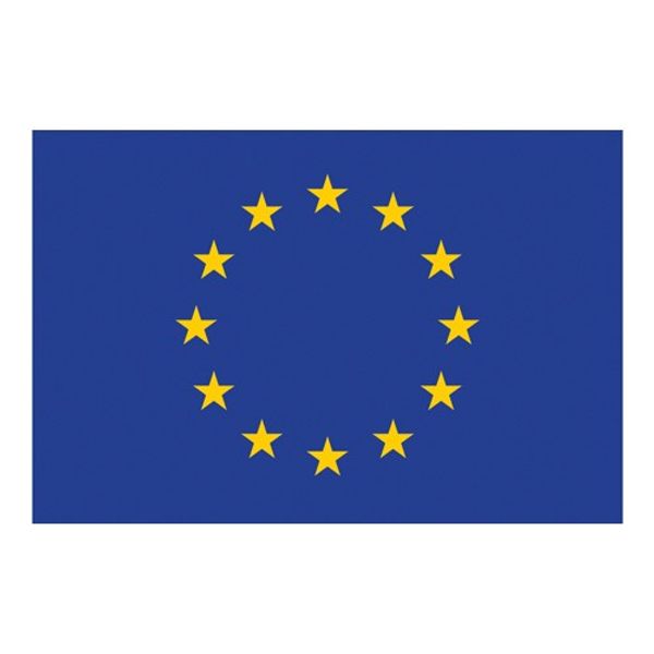 Flag Printed European Community (30 x 45cm)