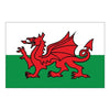 Flag Welsh Dragon (30 x 45cm) - ChasNewensMarine