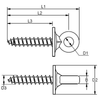 Blue Wave WDS Lag Screw Eye