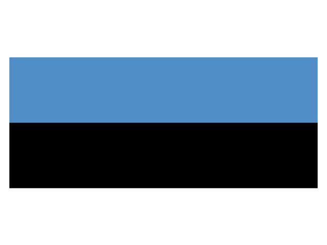 Estonia Flag - by Talamex