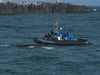 Zodiac MilPro Mark 6 Heavy Duty 7.00m - MK6 HD - ChasNewensMarine