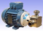 1" P80 'Pureflo' Hygienic Self-Priming Flexible Impeller Motor Pump Unit Complete with to 230v/1 phase/50Hz 1390rpm electric motor. AISI 316 stainless steel wetted parts, with food grade neoprene impeller - Jabsco 28320-4105C
