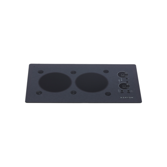 Stainless Steel 2 Burner with PUPS™ Landscape 120V B40581LPUPS