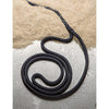 High tenacity mooring line with eye black color diameter 18 mm length 12 mt - Black colour - Breaking load kg - - Ø 18mm - Length 12 m [F4618012]