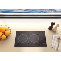 Lite-Touch Q® 2 Burner Small with PUPS™ Landscape 120V