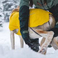 Ruffwear Vert™ Dog Jacket in Blue Pool (XX Small)