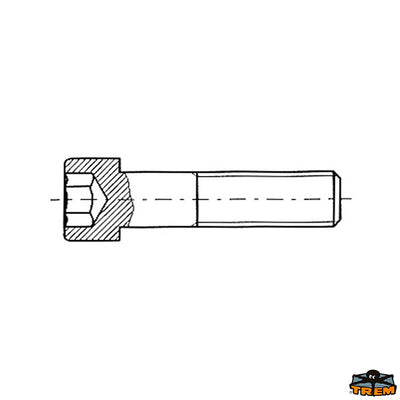 Stainless steel screws  hexagonal concave head Trem E5805010