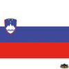 Slovenia Trem N5412045