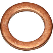 AG Copper Washers Pack of 10 (1/8" BSP Male)
