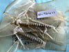 SCREW (#14-8 x 2.25) 10-96411    Mercury Mariner Spares & Parts