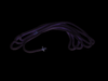 12066K10 ROPE-STARTER@2 - Official Mercury Spares