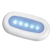 Watertight 5-led blue courtesy light
