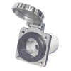 Socket AISI 316 50 A 220 V