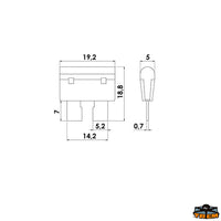 Fuses and fuses holder 15A - Model 15A. - Blue colour [L0615519]
