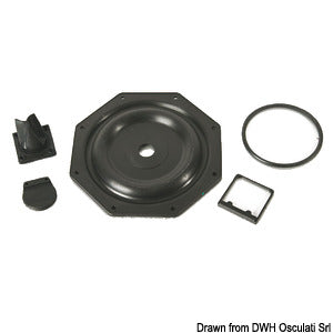 Spare gasket kit