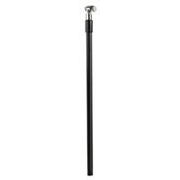 Shower telescopic rod