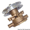 Nauco FPR 313 pump