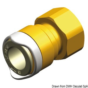 WHALE BSP 1/2" female adapter (brass)