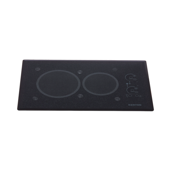Lite-Touch Q® 2 Burner Large with PUPS™ Landscape 240V B41541LPUPS