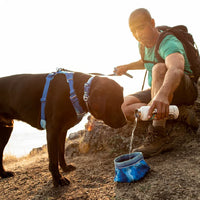 Ruffwear Quencher™ Dog Bowl with Coastal Mountains Print (Medium)