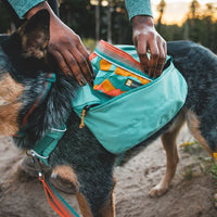 Ruffwear Quencher™ Dog Bowl with Coastal Mountains Print (Medium)