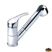 Shower faucet with flexible and mixer Trem N0102251