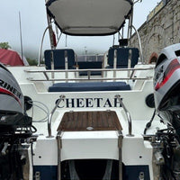 Thai Cat  7m Power Catamaran Twin 30hp Mariner Large Bespoke Road Trailer Plus Plus