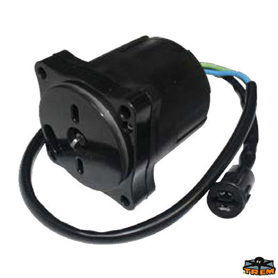 SUZUKI motor trim Trem N0146120