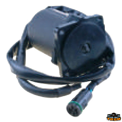 SUZUKI motor trim Trem N0146124