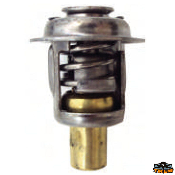 MERCURY thermostat Trem N0114586