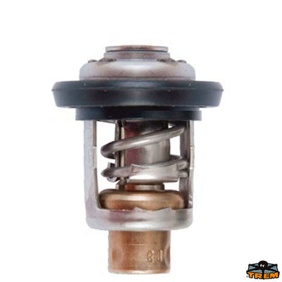 HONDA thermostat Trem N0135003