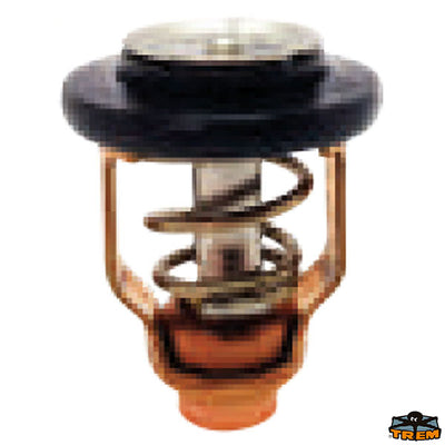 SUZUKI thermostat Trem N0149010