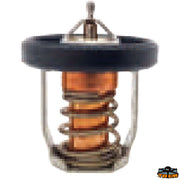 SUZUKI thermostat Trem N0149101