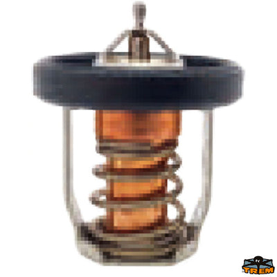 SUZUKI thermostat Trem N0149101