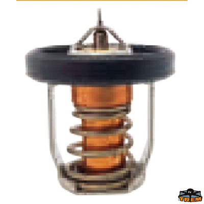 SUZUKI thermostat Trem N0149401