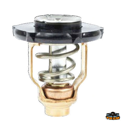 YAMAHA thermostat Trem N0152006