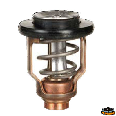 YAMAHA thermostat Trem N0152067