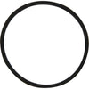 DriveForce Seal Ring for CAV Filter Head