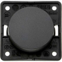 Berker Single 12V Switch