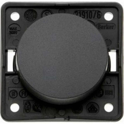 Berker Single 12V Switch