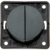 Berker Double 12V Switch