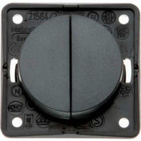 Berker Double 12V Switch
