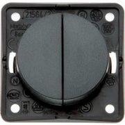 Berker Double 12V Switch