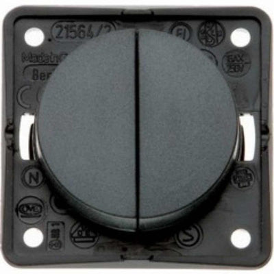Berker Double 12V Switch