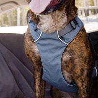 Ruffwear Load Up™ Dog Car Harness in Slate Blue (Medium)