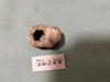 CAM Shift Control  36288  BECAME 760394    Mercury Mariner Spares & Parts OLD STOCK SO TARNISHED